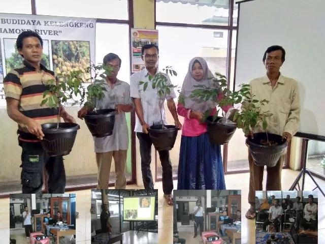 Pelatihan Pertanian Budidaya Kelengkeng Desember 2017