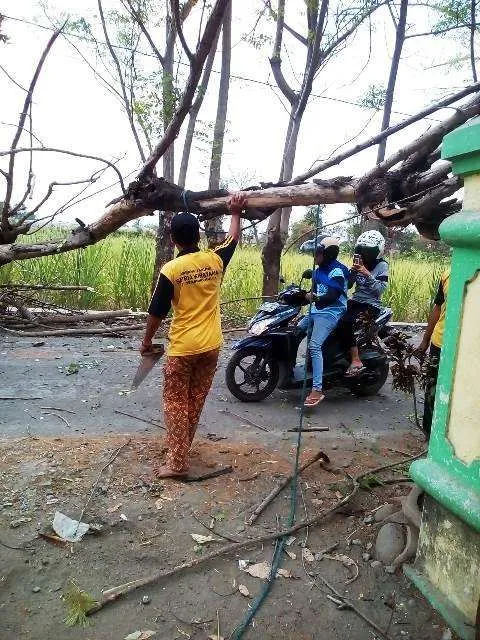 Karang Taruna SATYA WIRATAMA